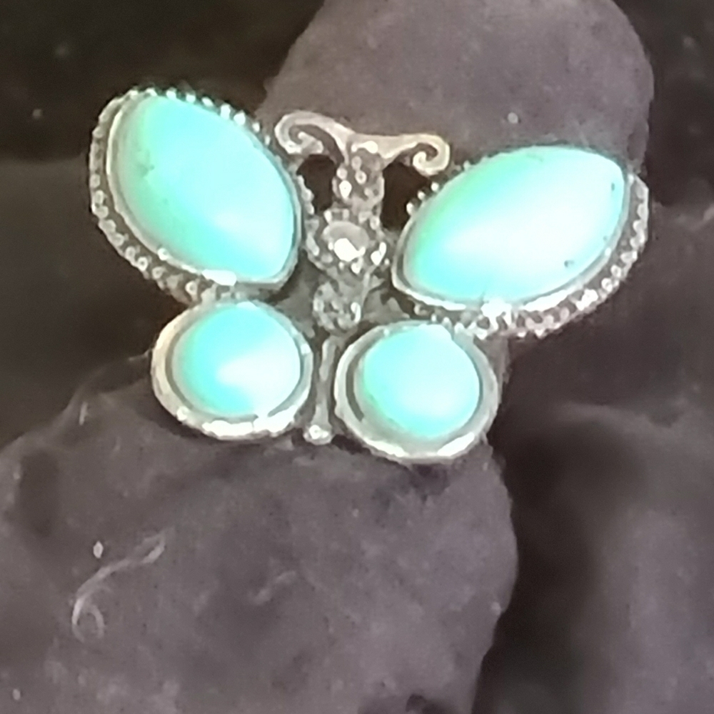 Turquoise and Silver ring